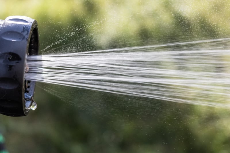 Sorcerer's Wand Watering Can